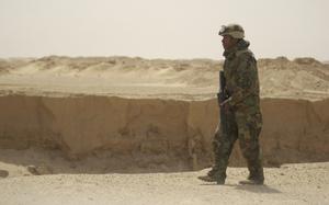 Hed: Querying the quarries, 2003

Near Karbala, Iraq, Mar. 30, 2003: PFC Cory Willis inspects a series of rock quarries near Karbala. Forces from the 1st Battalion, 15th Infantry spent a day fighting Iraqi armored forces hiding in the quarries.

Read the story on the 1st Bn, 15th Inf. here.
https://www.stripes.com/news/2003-04-03/for-3rd-id-a-needed-break-in-the-war-1905930.html1

META TAGS: Operation Iraqi Freedom; Wars on Terror; U.S. Army; 