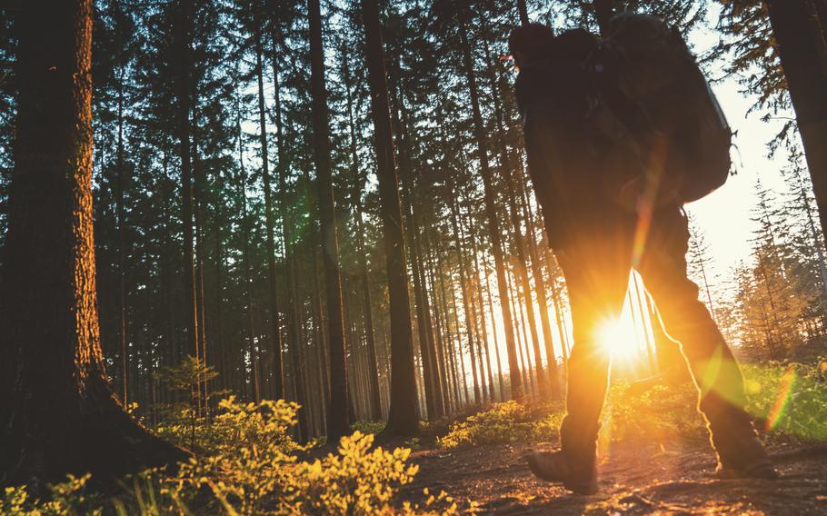 Late September in Germany is a lovely time to plan a walk.