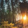 Late September in Germany is a lovely time to plan a walk.