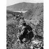 Hed: Smoke break, 1962

Somewhere in South Korea, Jan. 5, 1962:  Pvt. Thomas E. Linardy, 1st Platoon, A Company, 2nd Battle Group, 12th Cavalry Regiment, takes a smoke break as he waits for orders from his platoon leader. Men of the 12th Cavalry Regiment participate in a month-long Army training test. The training, which began Jan. 2, is held in the mountain areas of South Korea where the cavalrymen honed their skills in varied terrains such as jungles and expansive open agricultural paddies.

Looking for Stars and Stripes’ coverage of overseas military life through the decades? Subscribe to Stars and Stripes’ historic newspaper archive! We have digitized our 1948-1999 European and Pacific editions, as well as several of our WWII editions and made them available online through https://starsandstripes.newspaperarchive.com/

META TAGS: U.S. Army; training; exercise; 12th Cavalry Regiment; 1st Cavalry Division; U.S. Army; tobacco use; cigarette