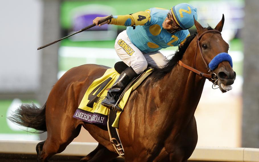 Triple Crown and Breeder’s Cup winner American Pharoah, shown here in 2015 winning the Breeders’ Cup Classic horse race at Keeneland race track in Lexington, Ky., will happily pose for pictures with adoring fans at Coolmore at Ashford Stud in Woodford County, Ky. Fellow Triple Crown winner Justified is also there. 