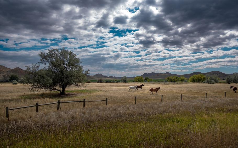 A detour to Ucross delivers big sky beauty. 