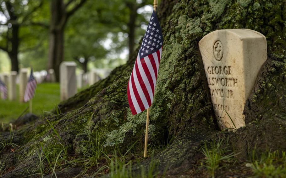 A flag is placed in front of a headstone, which emerges out of the trunk of a tree.