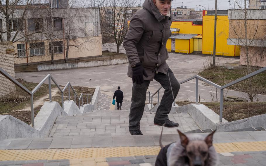 A man walks his dog in Nikopol.