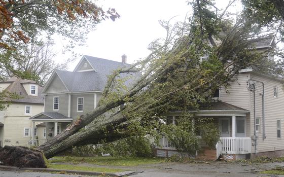 Fallen trees lean against a house in Sydney, N.S. as post tropical storm Fiona continues to batter the Maritimes on Saturday, Sept. 24, 2022.  Strong rains and winds lashed the Atlantic Canada region as Fiona closed in early Saturday as a big, powerful post-tropical cyclone, and Canadian forecasters warned it could be one of the most severe storms in the country's history.(Vaughan Merchant /The Canadian Press via AP)