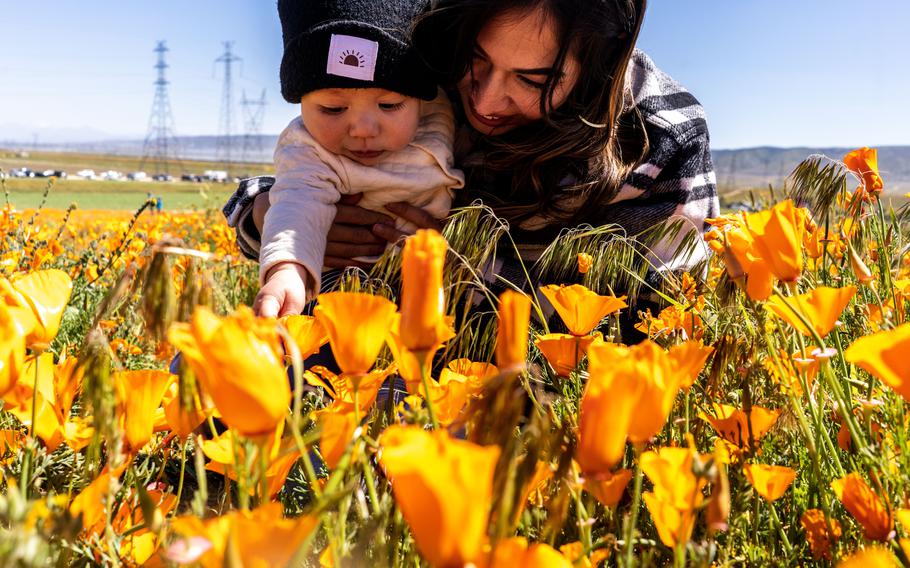 Alexis Delatorre sits among poppies with her 6-month-old, Julian, near Antelope Valley California Poppy Reserve.