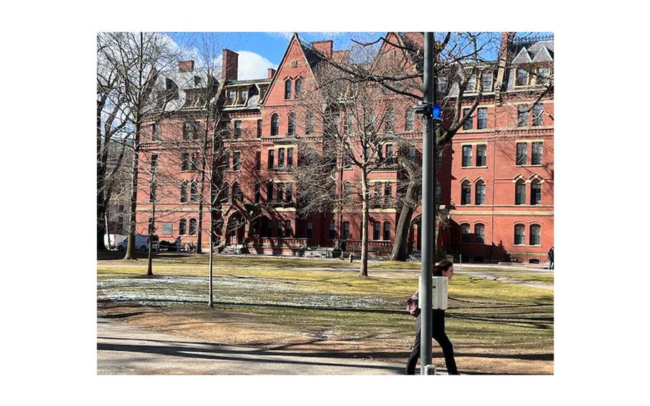 People walk through Harvard Yard