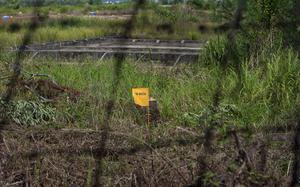 FILE- A yellow flag marks a field contaminated with dioxin near Danang airport, during a ceremony marking the start of a project to clean up dioxin left over from the Vietnam War, at a former U.S. military base in Danang, Vietnam Thursday Aug. 9, 2012. (AP Photo/Maika Elan, File)