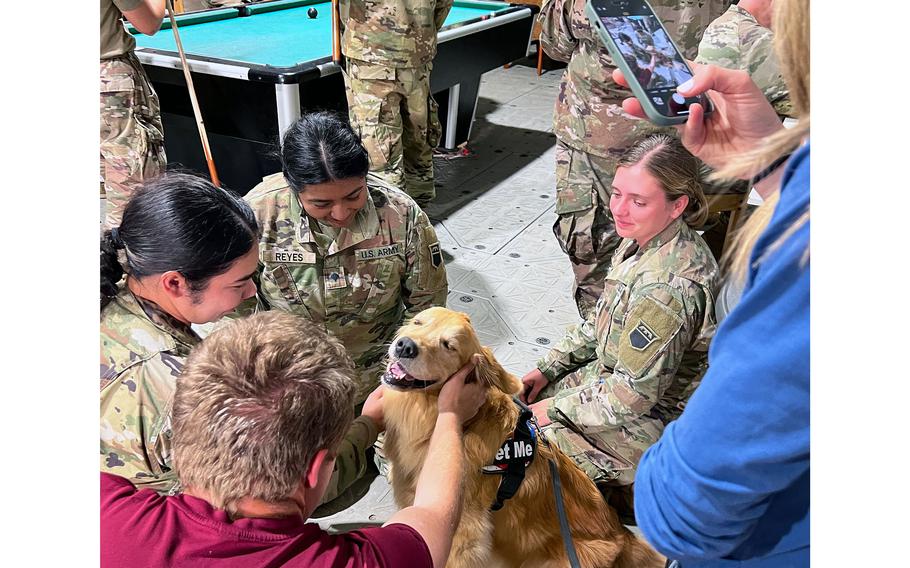 Ellie appears content with receiving lots of attention from U.S. service members during a visit to Poland earlier this month. Ellie and Emma, both golden retrievers with a wide social media following, are on their first international trip touring U.S. bases in Germany and Poland.  