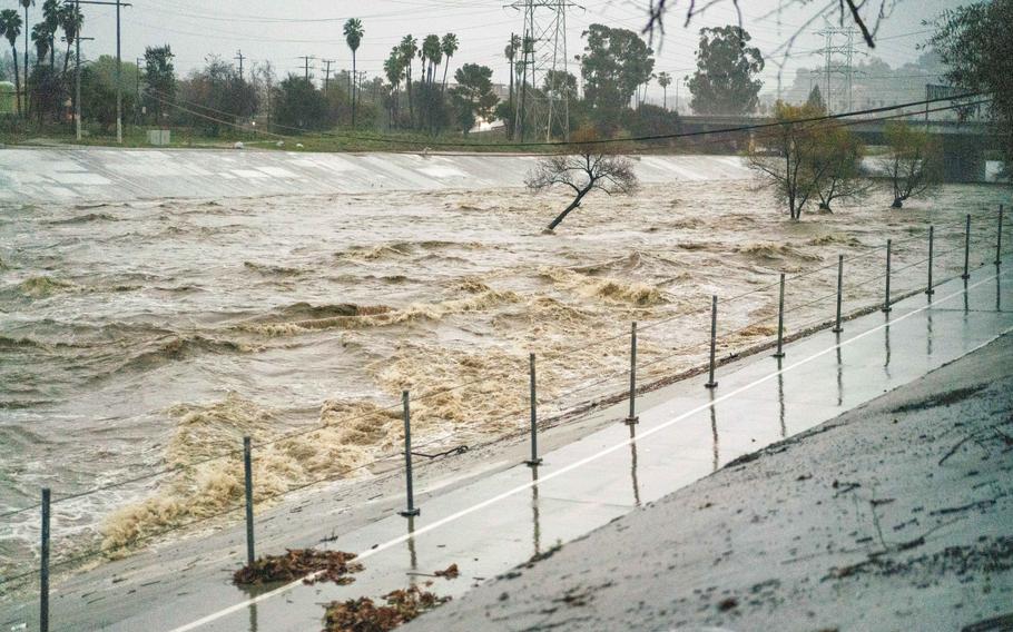 Submerged trees in the flooded Los Angeles River during an atmospheric river storm in Los Angeles on Feb. 5, 2024.