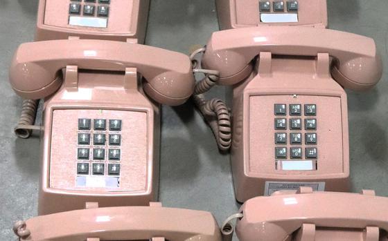 Pink telephones are lined in a row.
