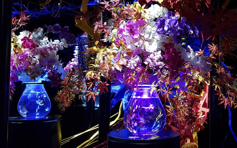 The Art Aquarium in Tokyo's high-end Ginza shopping district hosts artistic displays said to represent the popularity of goldfish during Japan’s Edo period.