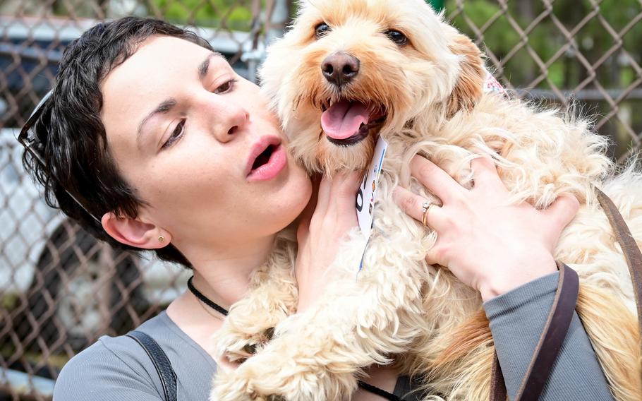 Participants can sign up their pets compete for prizes in five categories in the KMCC’s annual pet show starting at 11 a.m. on Saturday, June 1, 2024.