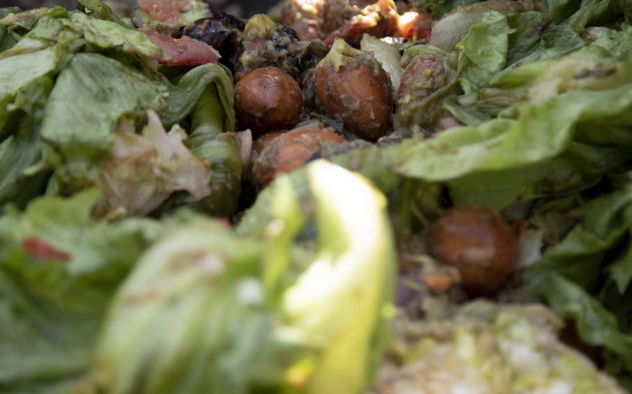 Carrots and lettuce decompose in a bin.