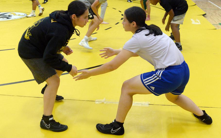 Twins Mizuki and Mirai Sato-Marsh return at the lower weights for Kadena wrestling.