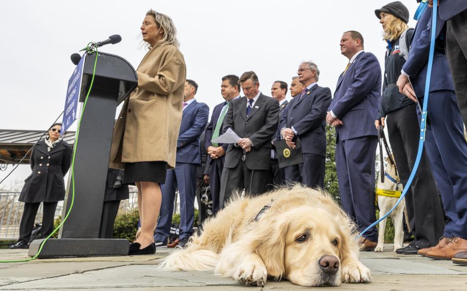 A dog lies down as a group of people stand outside the Capitol and in front of a podium.