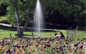 Visitors to the German-French Garden in Saarbrücken, Germany, enjoy some sunshine by a water fountain and a bed of tulips. The park is about a 45-minute drive from Kaiserslautern, close to the French border.