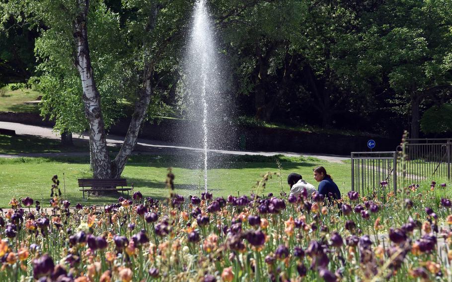 People sit in a garden with a fountain at its center.