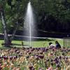 Visitors to the German-French Garden in Saarbrücken, Germany, enjoy some sunshine by a water fountain and a bed of tulips. The park is about a 45-minute drive from Kaiserslautern, close to the French border.