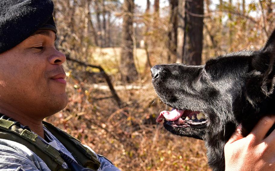 This past August, President Joe Biden signed the Puppies Assisting Wounded Servicemembers (PAWS) Act into law, which for the first time ever requires the VA to establish a pilot program providing service dog training to veterans diagnosed with post-traumatic stress.