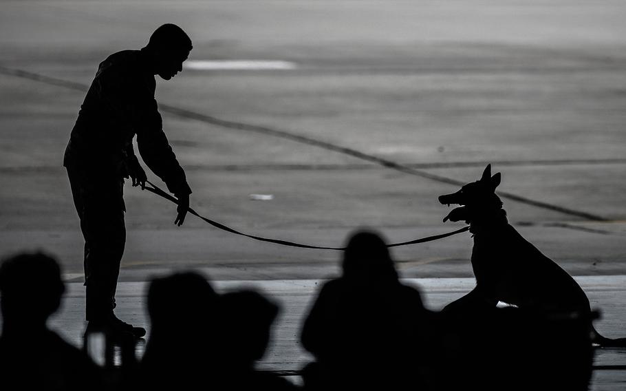 Joint Base McGuire-Dix-Lakehurst, N.J., Security Forces bring their working dogs to a Student Engagement and Career Day event at JB MDL, Friday, April 19, 2024. 