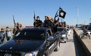 Men holding guns stand in the back of a pickup truck.