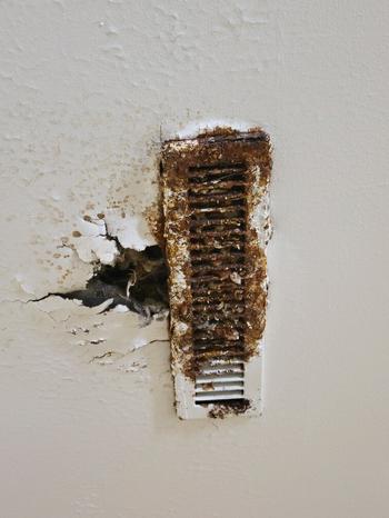 Nearly 1,200 soldiers at Fort Bragg, N.C., are being relocated from barracks deemed unsafe because of mold growth in rooms. However, mold is also growing in rooms of the buildings to which they are being relocated, according to soldiers.