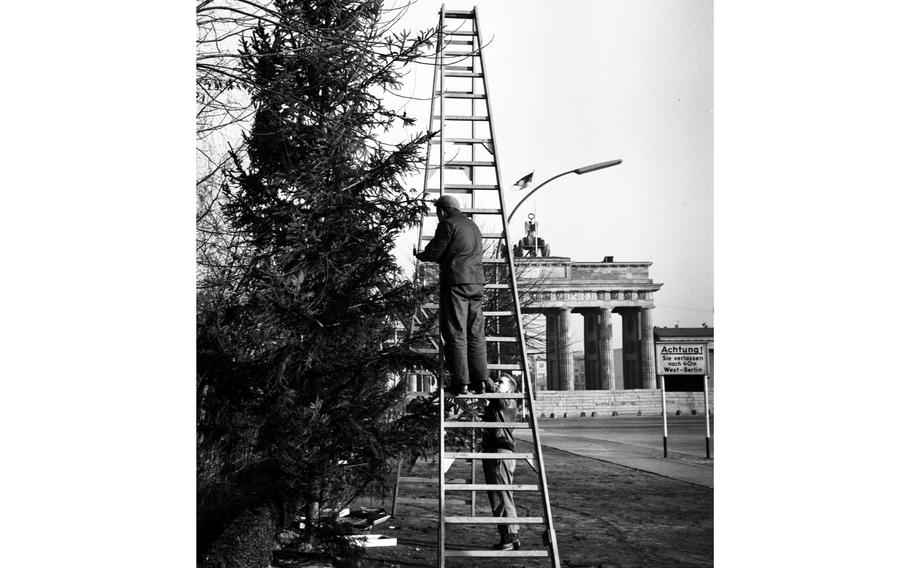 Berlin Tannenbaum 2025 Kata Tricia
