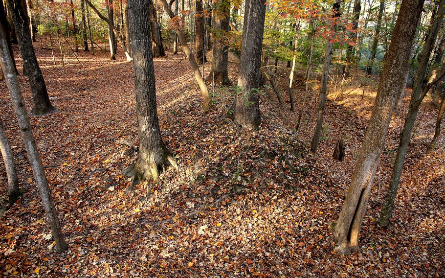 Chesapeake hopes to turn a 5-acre plot of land off Jolliff Road into a historical park. Authorities believe it was a little-known earthworks fort used during the Civil War. This feature, experts believe, is part of the wall that protected the soldiers.