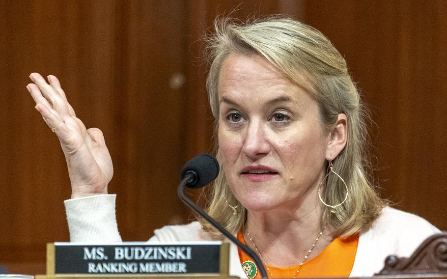 Budzinski at the microphone gestures with a hand during the hearing.