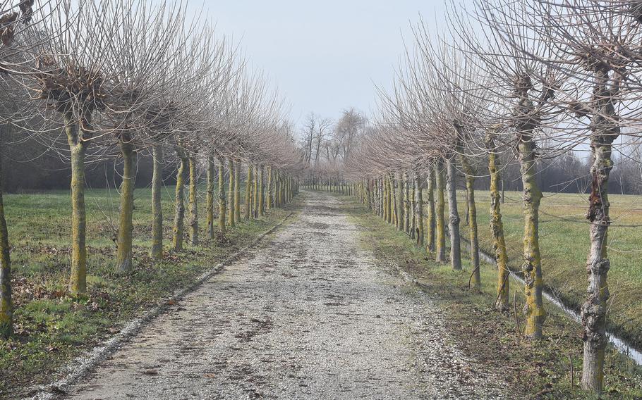 The main paths through the Parco delle Fonti di Torrate are very well maintained and suitable for walkers, strollers, bikes and dogs on leashes. Visitors during the winter miss out on some of the color on display during other seasons, though they can often double down on the tranquility.