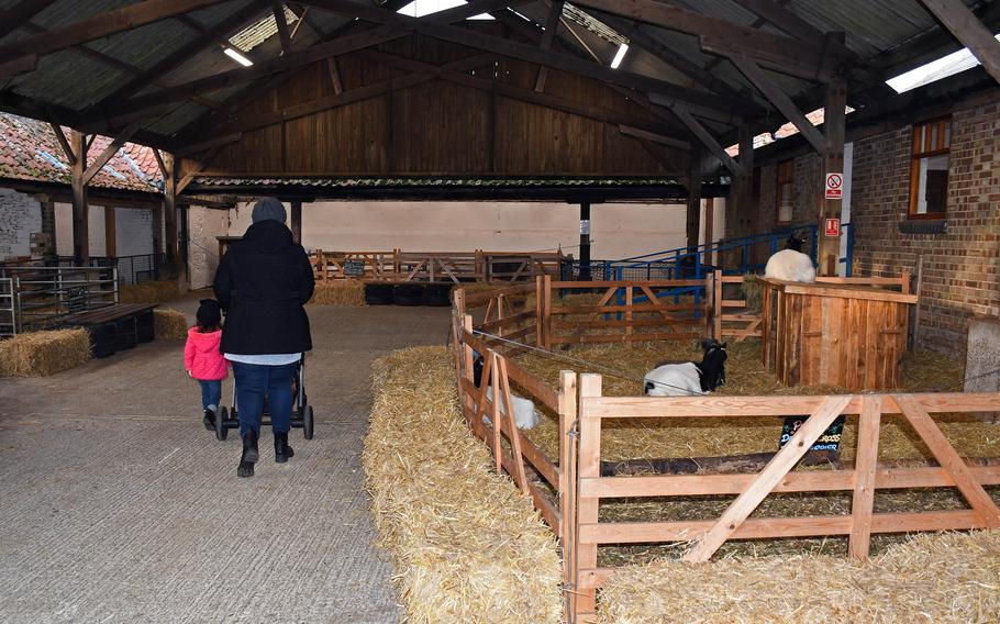 Visitors stroll through one of the rebuilt structures serving as  petting zoo areas at Church Farm Rare Breeds Centre in Stow Bardolph, England. The building used to house a dairy farm.
