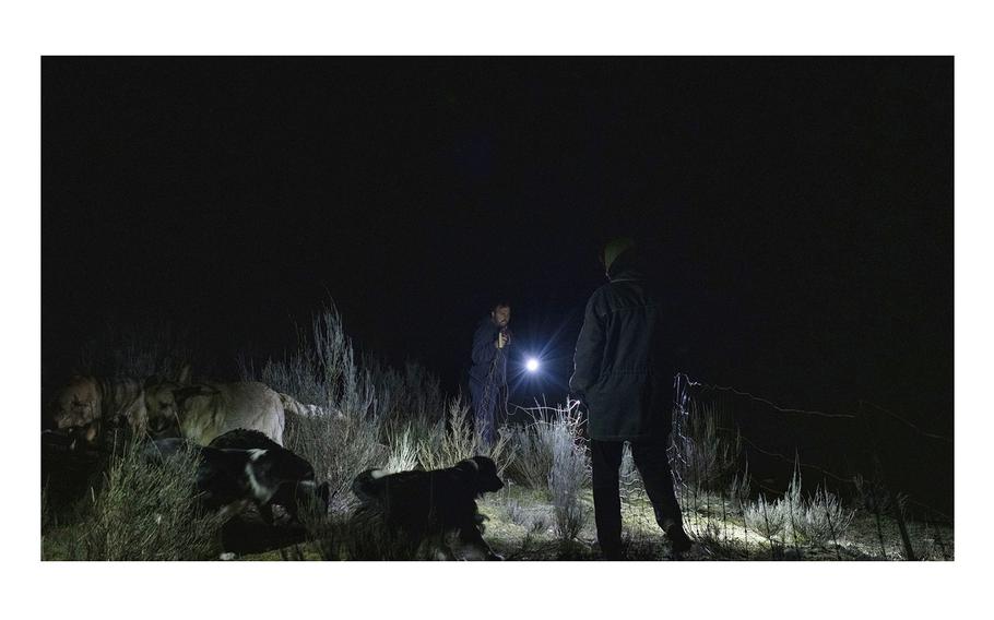 Alberto Fernández’s cattle are protected by electrified fences and giant mastiff dogs.