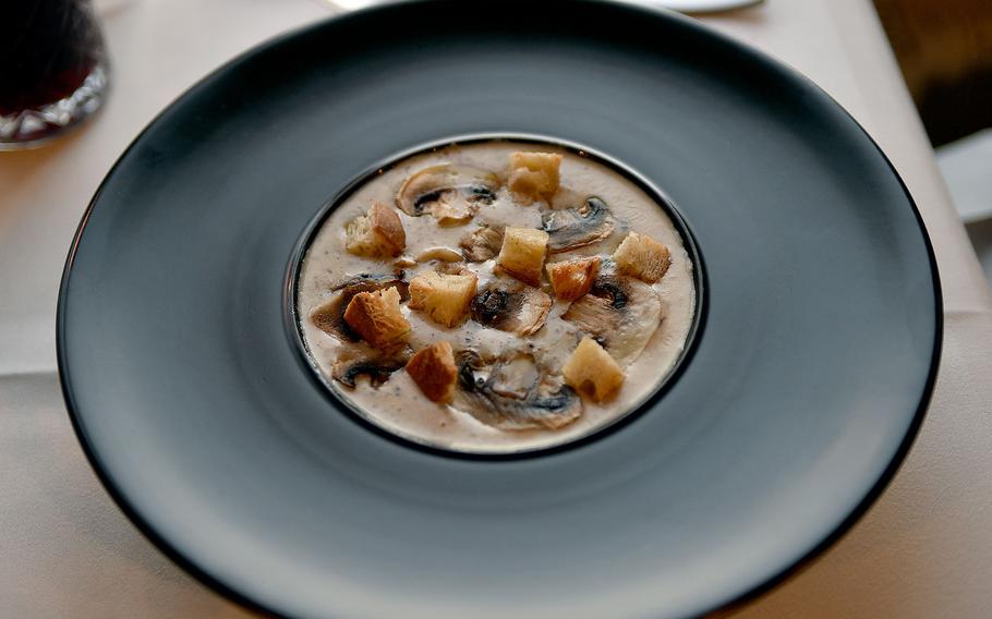 Mushroom soup in the center of a wide bowl.