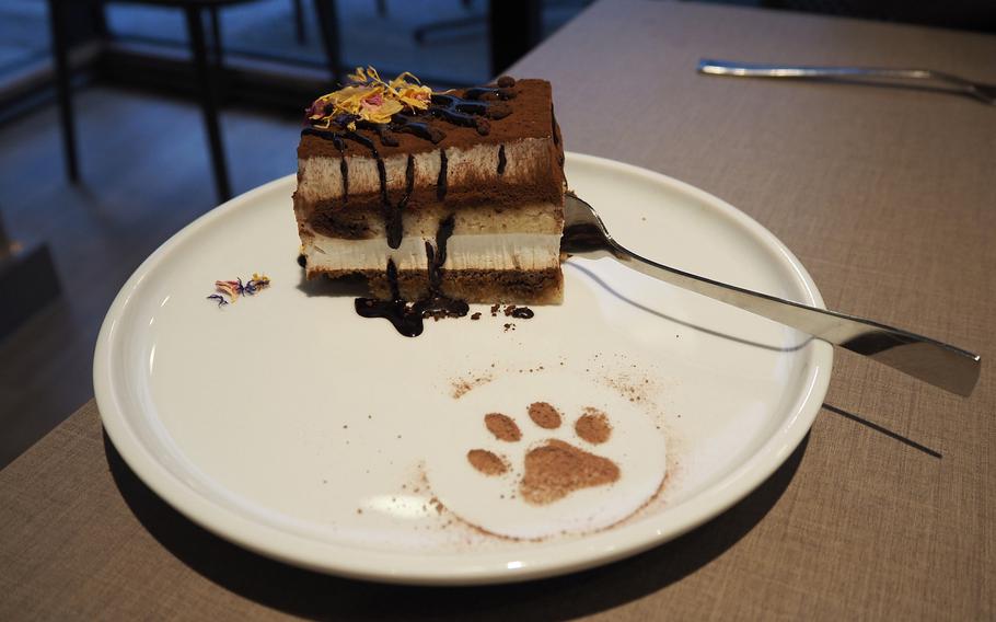The tiramisu at Katzentempel cat cafe in Trier, Germany, is made without eggs and dairy.