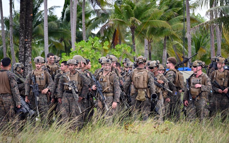 A group of U.S. Marines in uniform stands with tall grass in front of them and palm trees in the background after a military exercise.