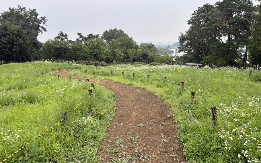 A dirt path winds through a lush green meadow dotted with small white wildflowers. The path is bordered by wooden posts connected with yellow and black rope on both sides. 