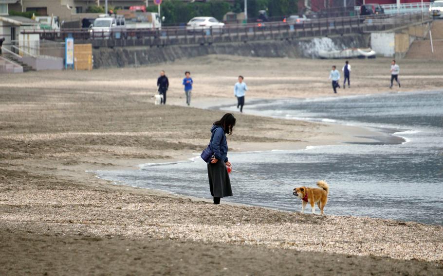 People and pets stroll and exercise along Zushi Beach in the city of Zushi, Japan, Jan. 18, 2023. 