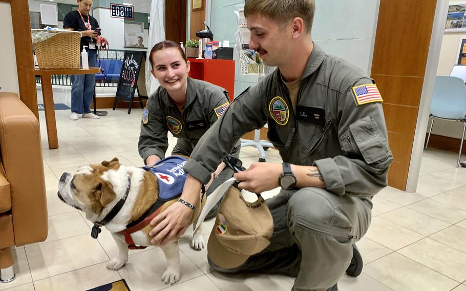 Petty Officer 3rd Class Julia Walden, left, and Seaman Mckade Kerr pet therapy dog Bentley on Sept. 28, 2023, at the USO center at Naval Support Activity Naples in Italy. Kerr said spending time with Bentley was fun but also made him miss his two golden retrievers in the U.S.