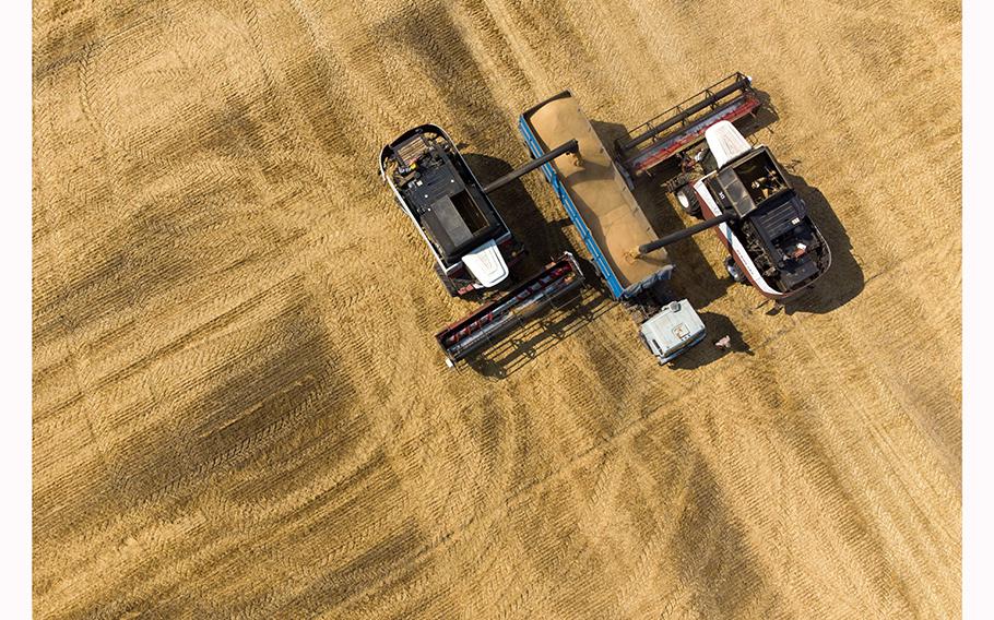 A wheat harvest near Stavropol, Russia. 