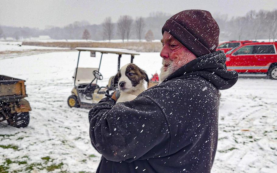 An employee of the Western Lakes Golf Club holding one of the 53 rescue dogs pulled from the wreckage of a plane that crash-landed on the club’s golf course in Pewaukee, Wis., on Tuesday, Nov. 15, 2022.