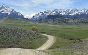 A dirt road winds through an expanse of hills leading up to snow-capped mountains.