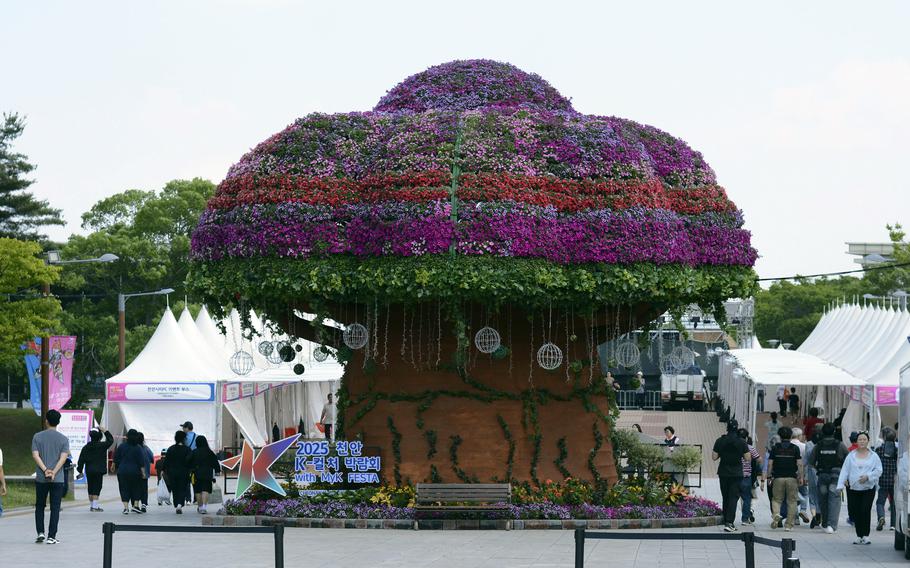The five-day Cheonan K-Culture Expo, which kicked off June 4, 2025, invites visitors to dive into South Korea's vibrant spirit through a sensory immersion in music, fashion, food and future-facing tech.