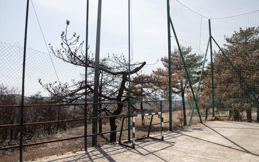 The aftermath of the fires near a sports field in the Karst region of Slovenia in August. 