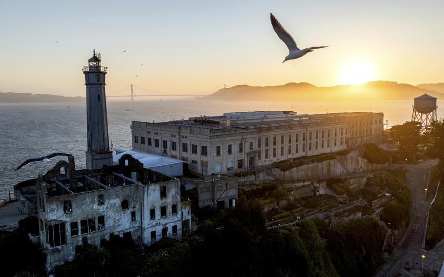 A bird flies above Alcatraz Island