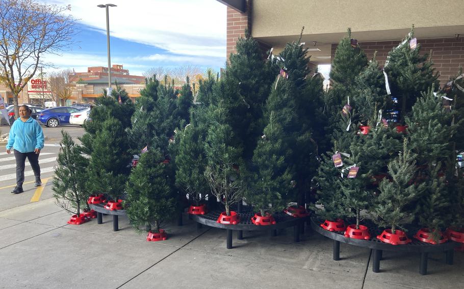 A shopper passes by a display of Christmas trees outside the main entrance to a grocery store, Tuesday, Nov. 16, 2021, in southeast Denver.