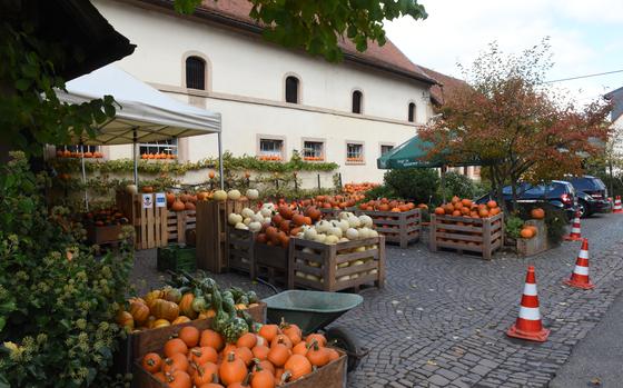 Hitscherhof farm in Massweiler, Germany, is a great place to shop for pumpkins and squash. The farm is about a 40-minute drive from Kaiserslautern.