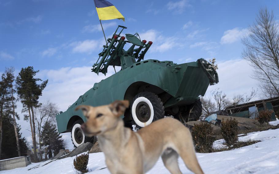 A dog passes a memorial, its rockets pointed symbolically toward Moscow, on Feb. 6 in Bucha.