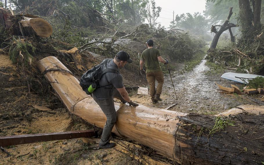 A man stepping over a fallen tree.