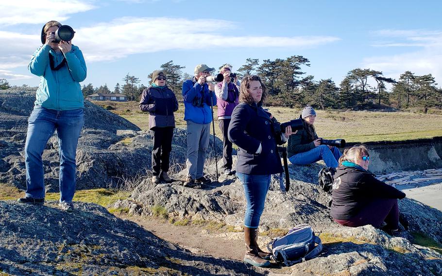 Whale watchers gather at the southernmost end of San Juan Island. Whenever someone spots a whale, word goes out through a Facebook group. 